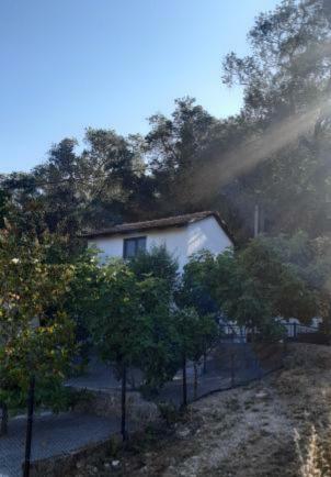 White Manolia Cottage Kato Korakiana Dış mekan fotoğraf